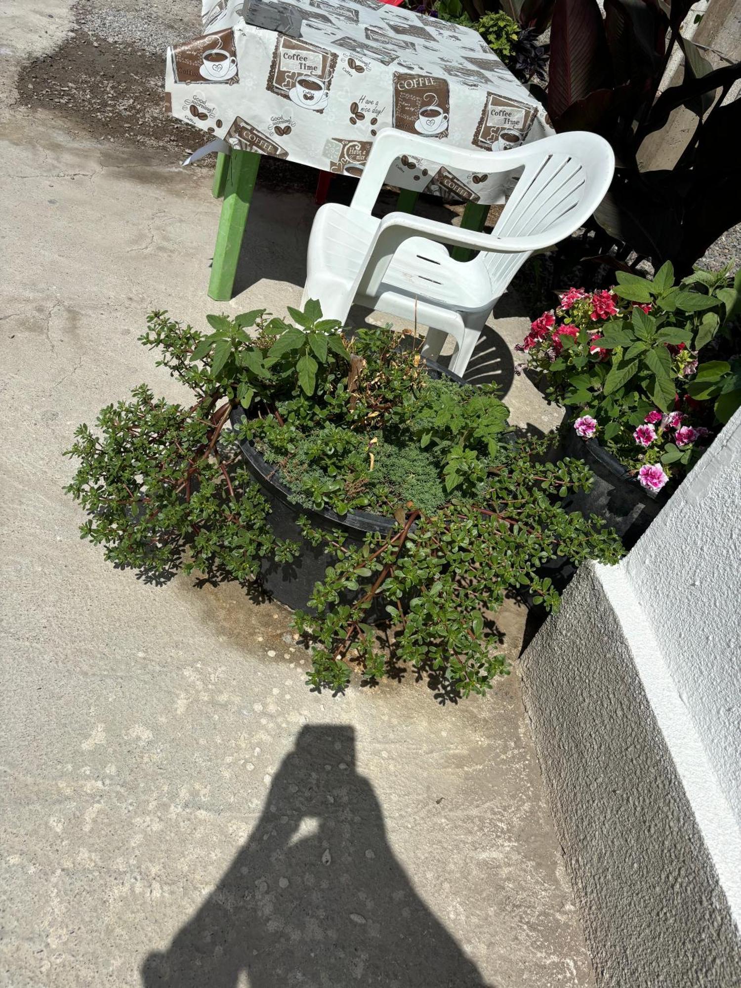 Hostel,Halal Хостел,Халал Tokmok Exterior foto